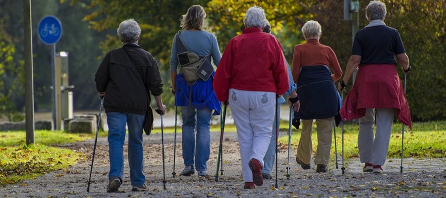 Bydgoscy seniorzy uczą aktywności