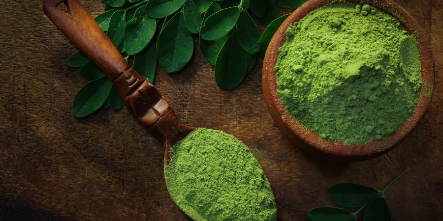 Moringa – co to za roślina i jak działa