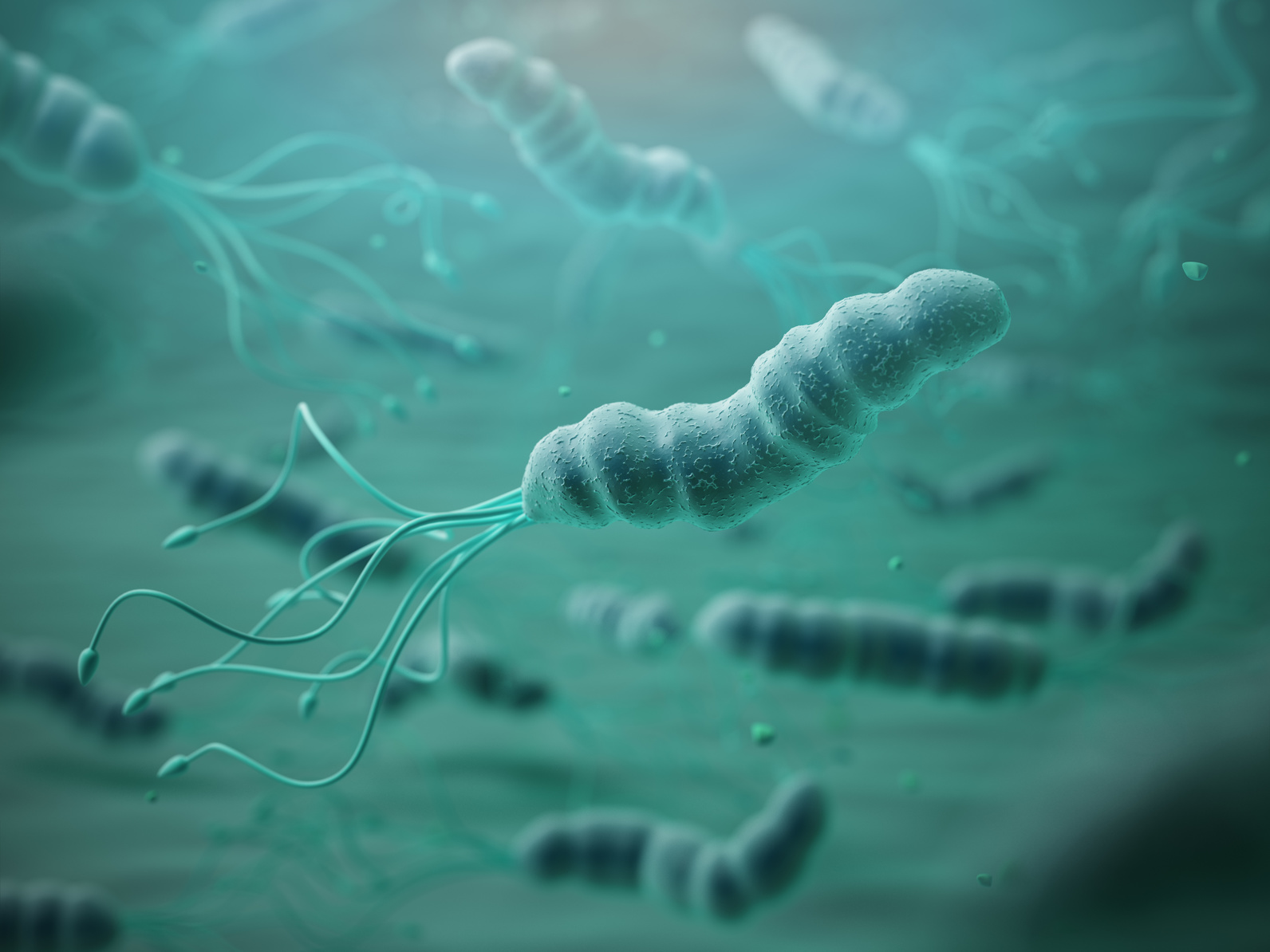 Helicobacter pylori – jak uniknąć zakażenia i jak leczyć tą bakterię