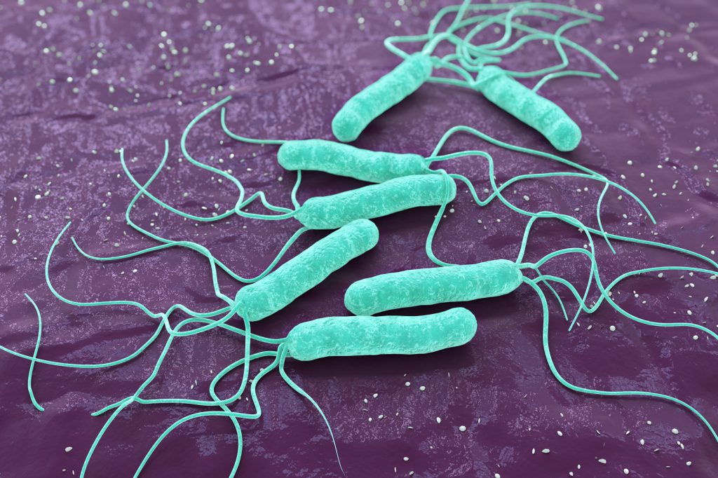 Helicobacter pylori – ryzyko i objawy zakażenia