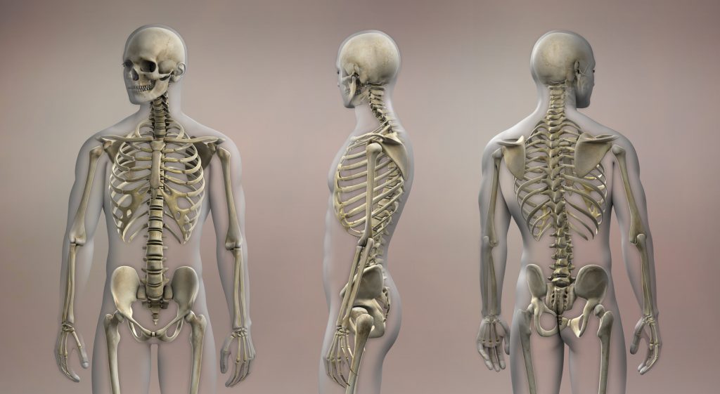 Osteoporoza jak choroba cywilizacyjna