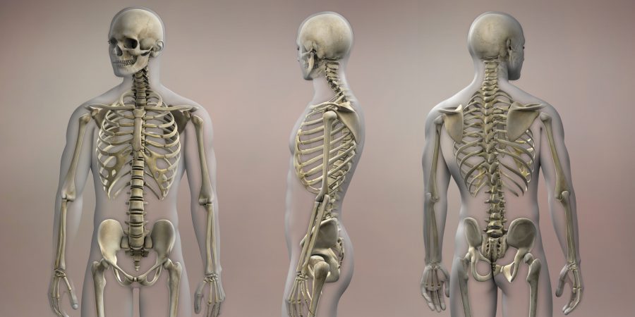 Osteoporoza jak choroba cywilizacyjna