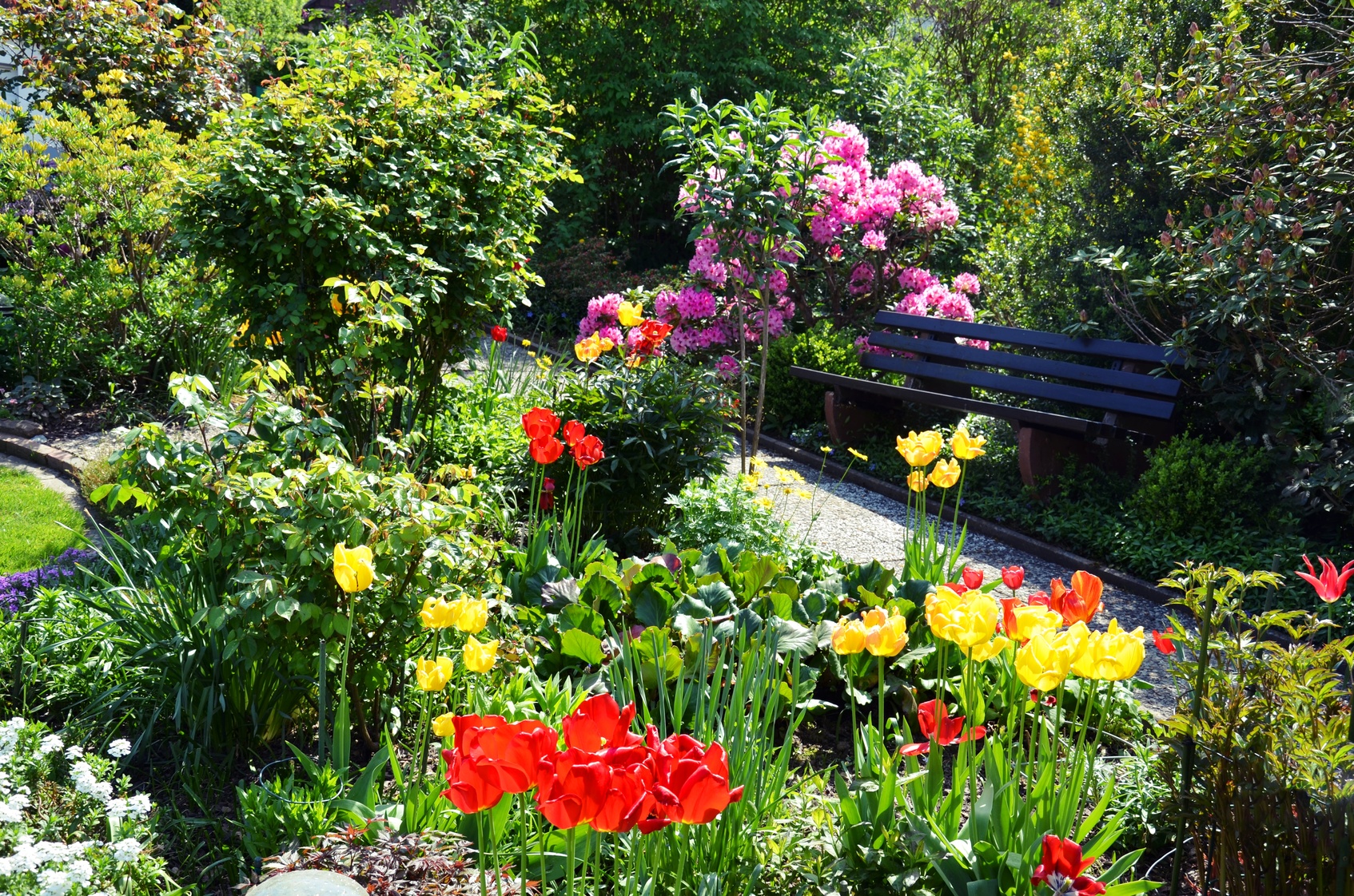 Kolorowy raj, czyli wiosenne kwiaty w ogrodzie