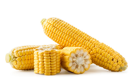 Kukurydza – właściwości żółtej kolby