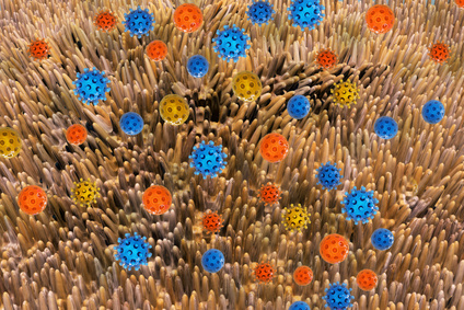 Wpływ mikroflory jelitowej na rozwój nowotworów