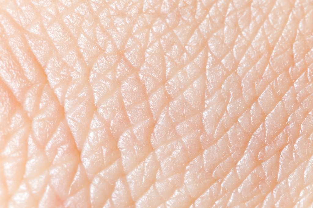 Naturalny mikrobiom skóry – co to takiego