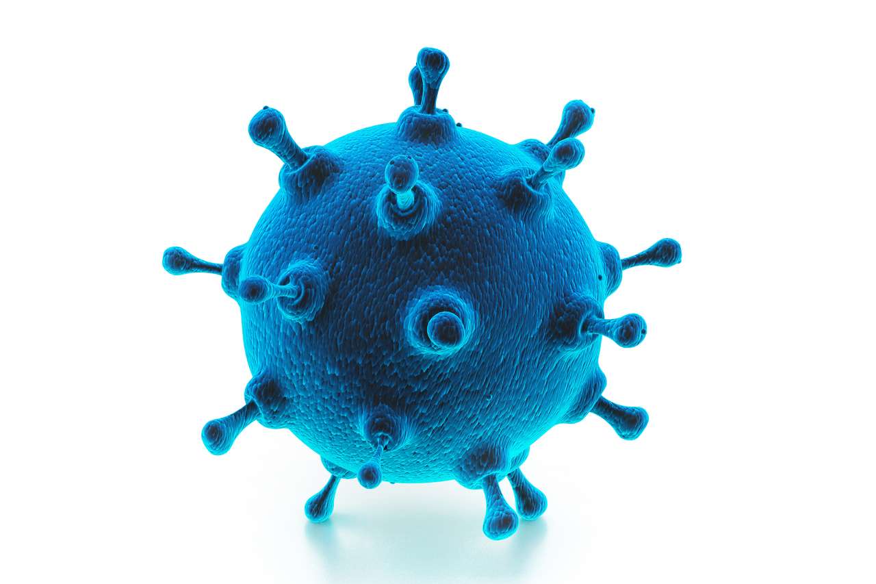 Nowy wirus SARS-CoV-2 a zasady postępowania