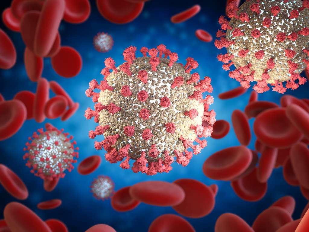 Wpływ koronawirusa na czerwone krwinki