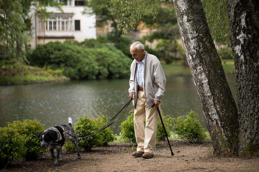 Senior 94 Jahre alt geht mit seinem Hund im Park spazieren